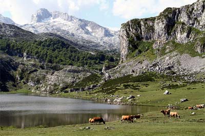 Jezioro Ercina w zachodnim masywie Picos de Europa (fot. flickr.com)
