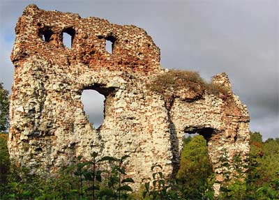 Ruiny zamku w Bochotnicy