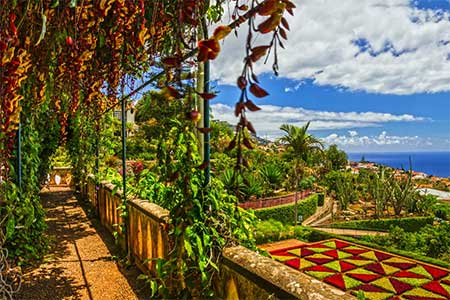 Ogród Jardim Tropical Monte Palace