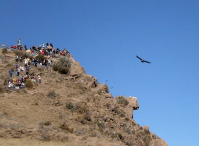 Punkt widokowy Cruz del Condor