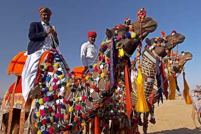 Wielbłądy podczas barwnego Festiwalu Pustyni w Dźajsalmerze (Jaisalmerze) (fot. Rajasthan Tourism)