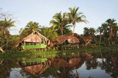 Orinoco Delta Lodge - wzniesiono tu 37 komfortowych chat dla turystów (fot. Magazyn All inclusive)