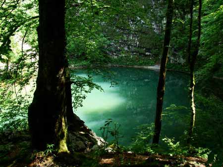 Tajemnicze Divje Jezero (Dzikie Jezioro) koło miasta Idrija (fot. slovenia.info).