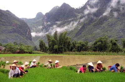 Prowincja Ha Giang leży na północy Wietnamu. Charakterystycznym elementem jej krajobrazu są góry, bujne lasy i pola ryżowe (fot. Vietnam National Administration of Tourism)