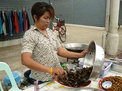 Sprzedawczyni robaków na targu w Siem Reap