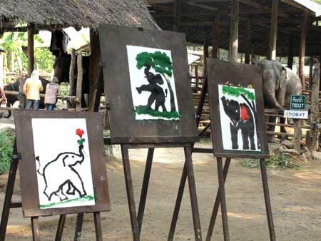 Rysunki wykonane przez słonie