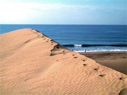 Wydmy na piaszczystej plaży w Maspalomas